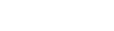 BlakSkill Logo